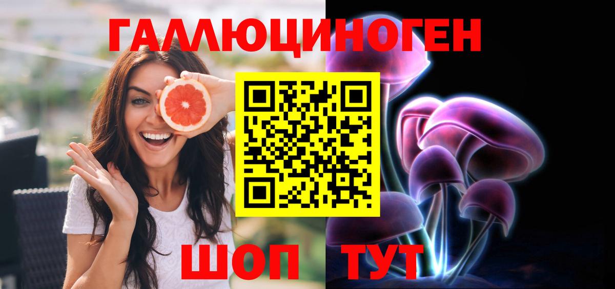 Псилоцибиновые грибы Psilocybine cubensis Выкса